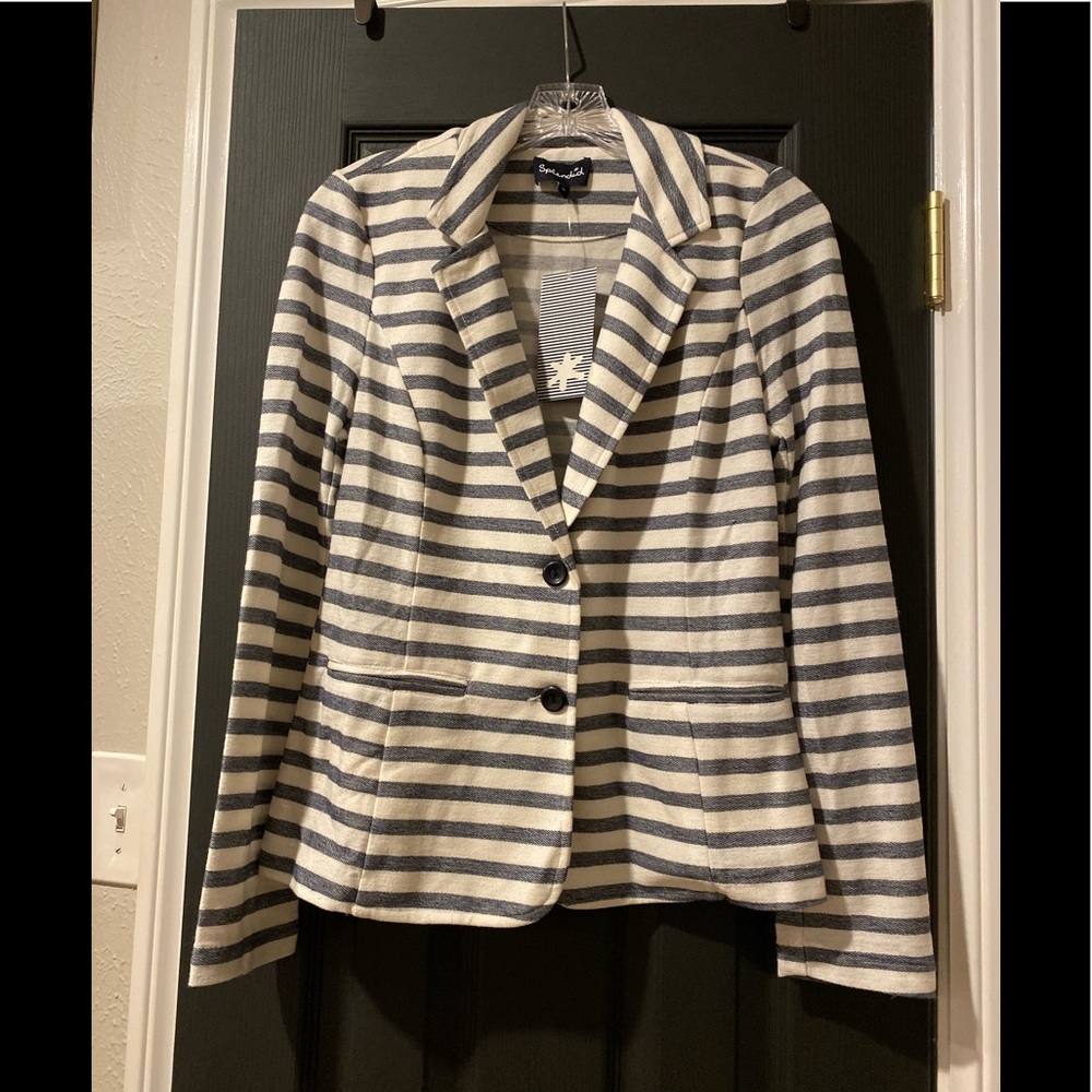Splendid Striped Two Button Blazer